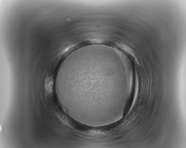 X0000085310596200703161453