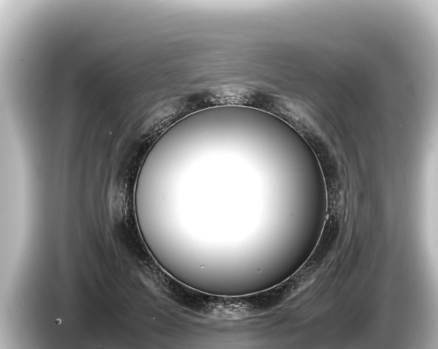 X0000085310599200703161453