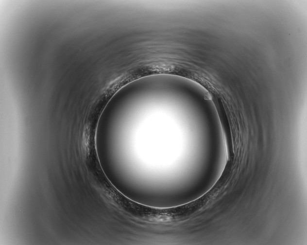 X0000085310600200703161453