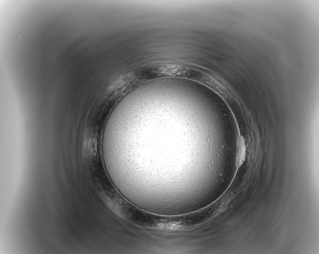 X0000085310602200703161453