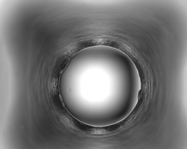 X0000085310605200703161453