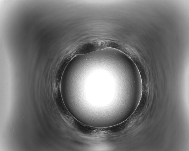 X0000085310607200703161453