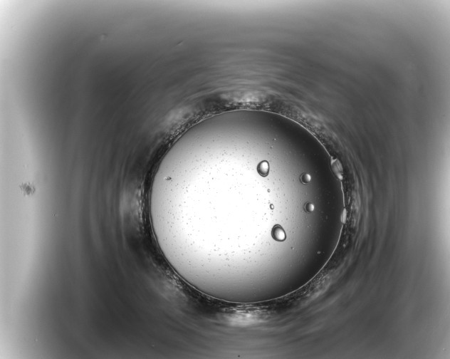 X0000085310612200703161453