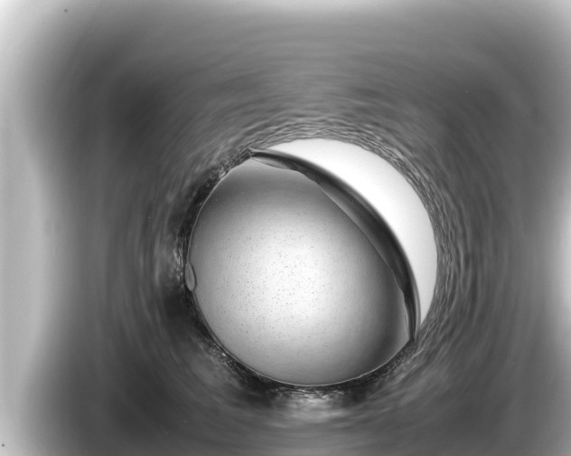 X0000085310613200703161453
