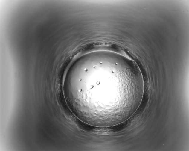 X0000085310615200703161453