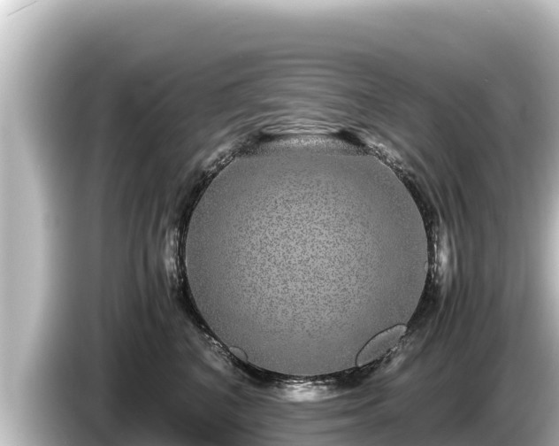 X0000085310616200703161453