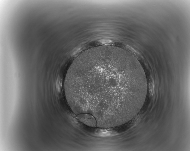 X0000085310618200703161453