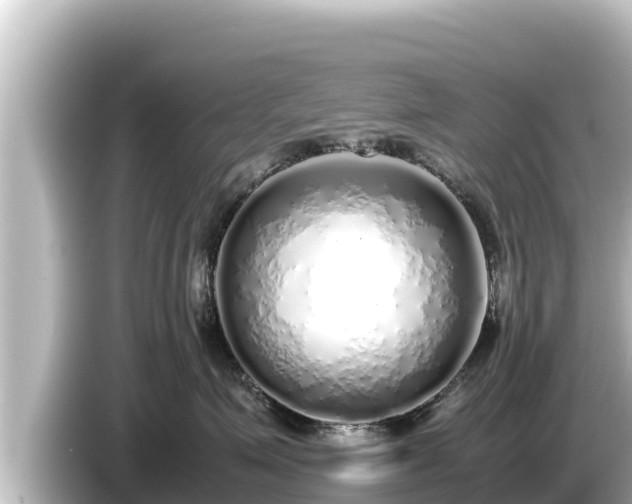 X0000085310623200703161453