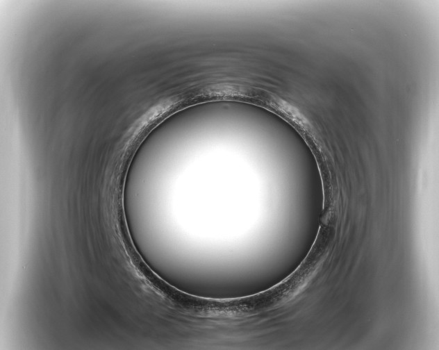 X0000085310625200703161452