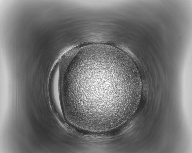 X0000085310626200703161452