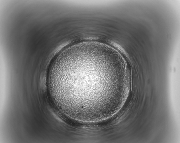 X0000085310627200703161452
