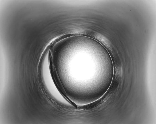 X0000085310628200703161452
