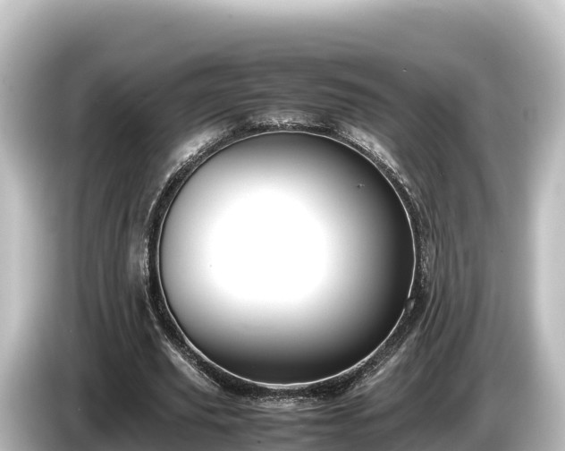 X0000085310629200703161452