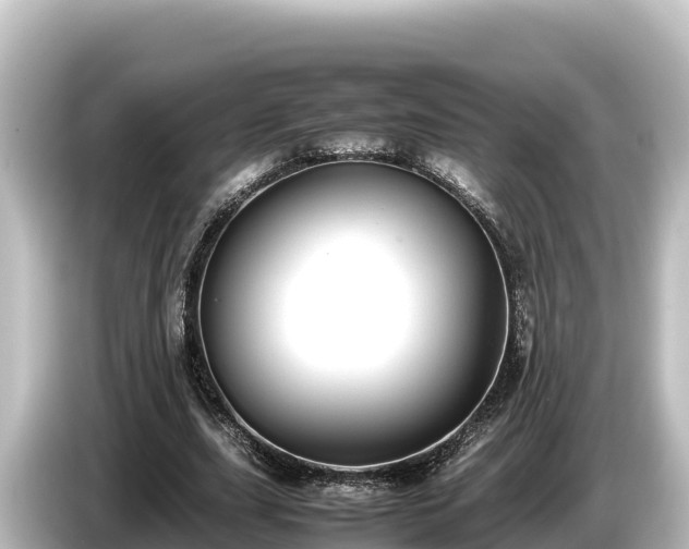 X0000085310631200703161452