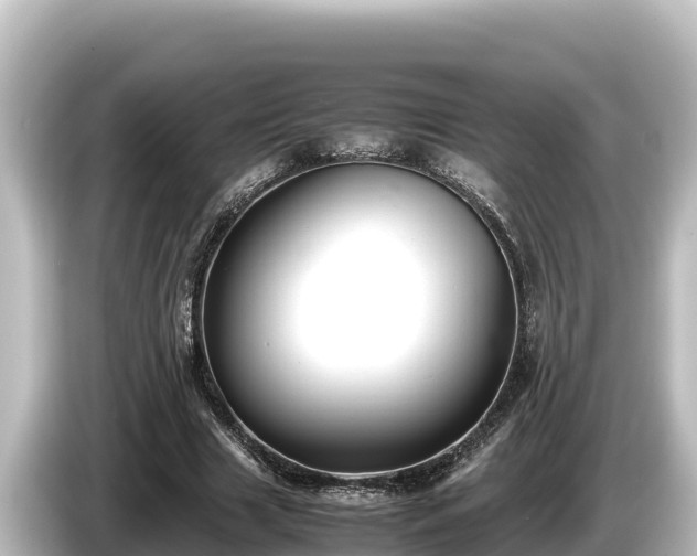 X0000085310633200703161452