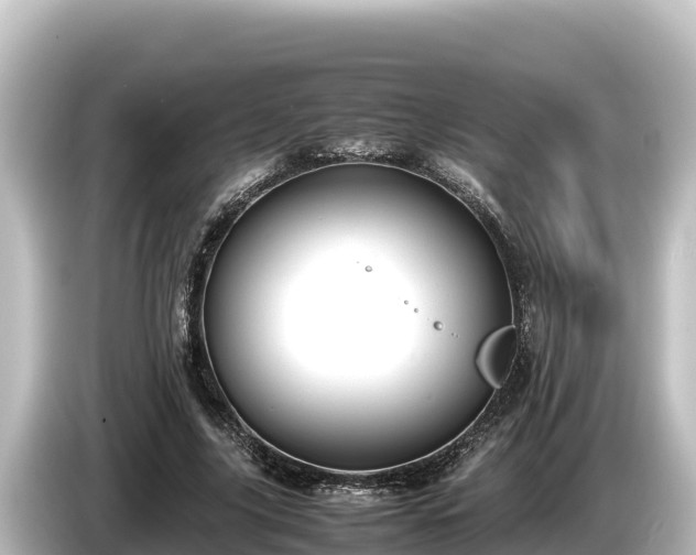 X0000085310635200703161452