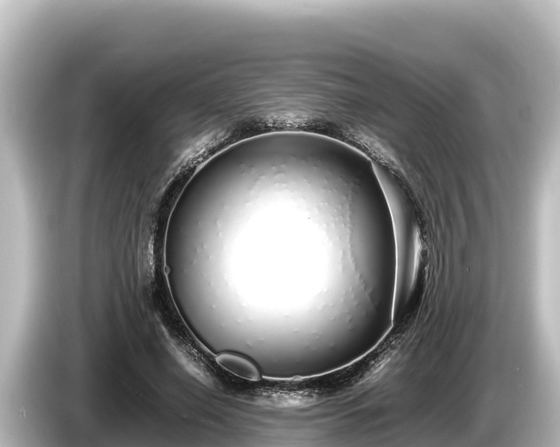 X0000085310638200703161452