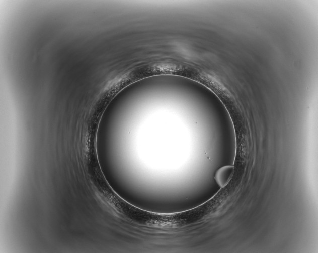 X0000085310639200703161452