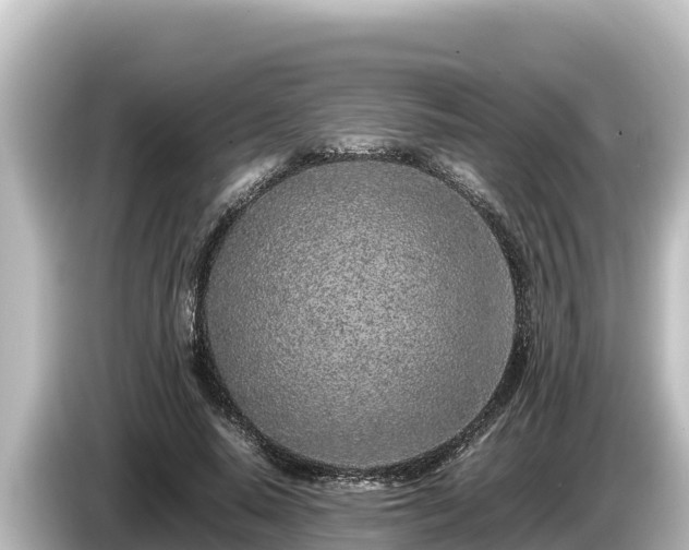 X0000085310640200703161452