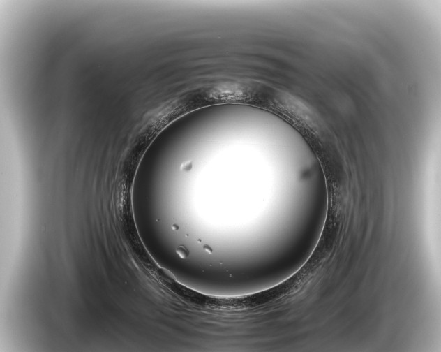X0000085310645200703161452
