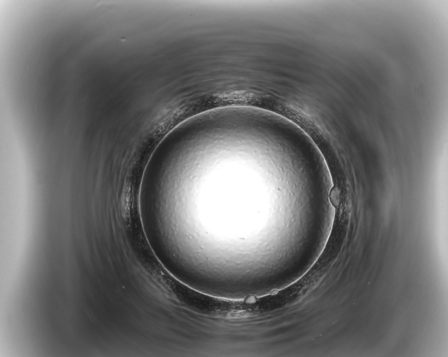 X0000085310647200703161452