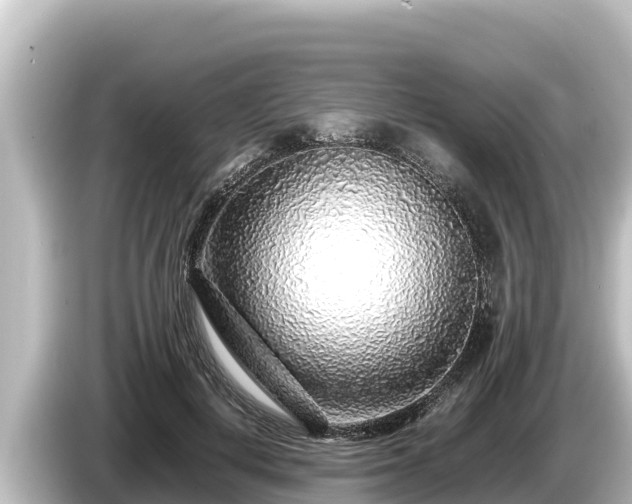 X0000085310648200703161452