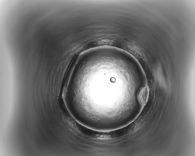 X0000085310649200703161453