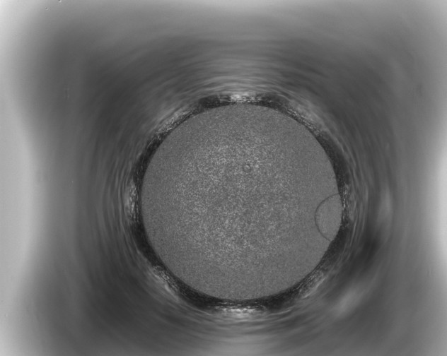 X0000085310650200703161453
