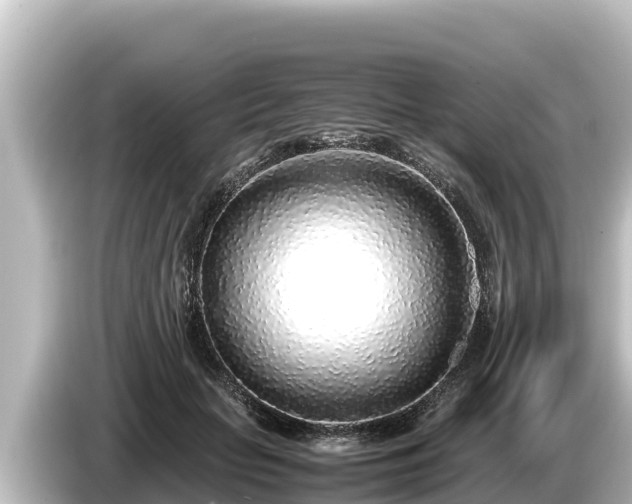 X0000085310653200703161453