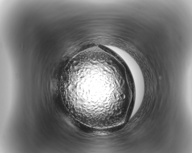 X0000085310654200703161453