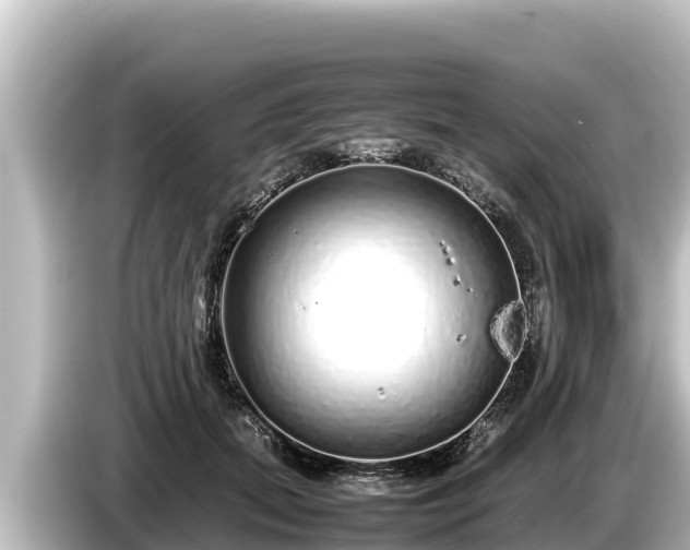 X0000085310655200703161453