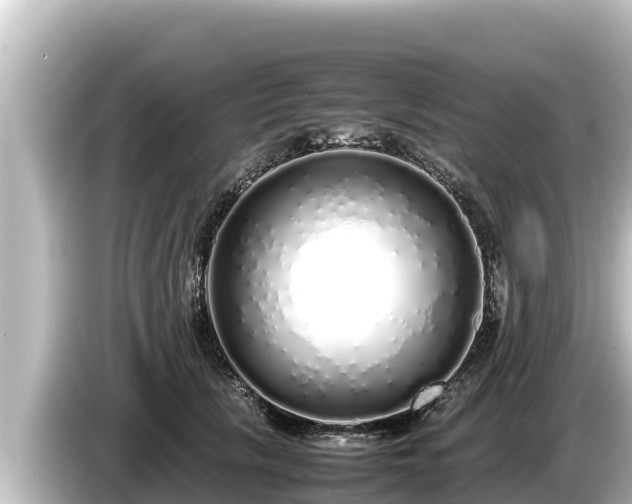 X0000085310657200703161453
