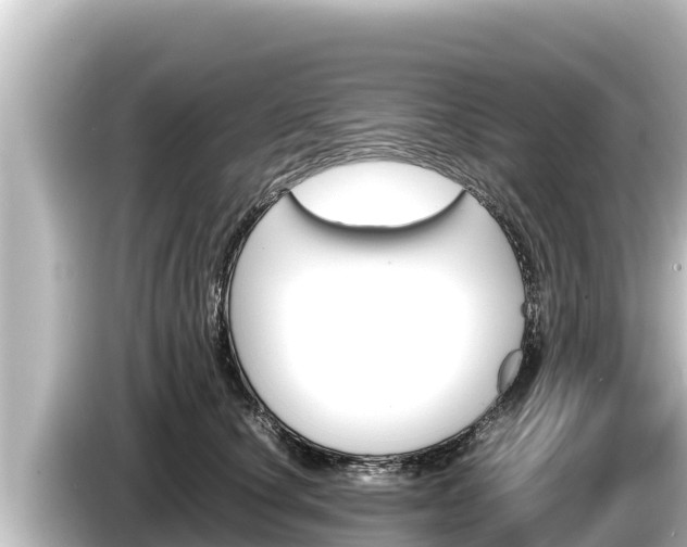 X0000085310660200703161453
