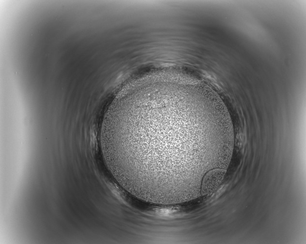 X0000085310662200703161453
