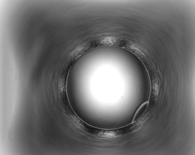 X0000085310665200703161453