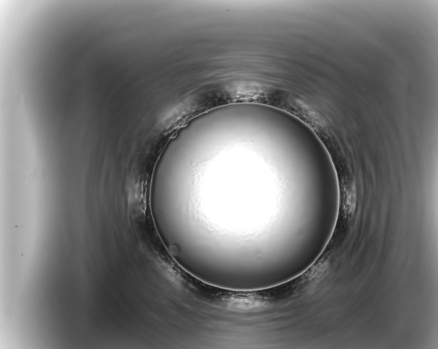 X0000085310666200703161453