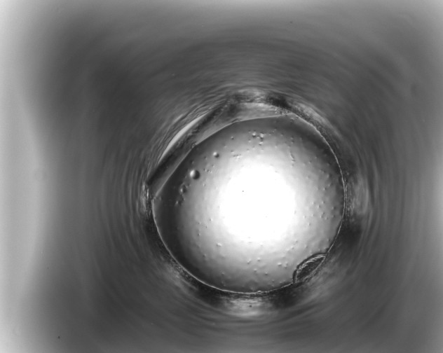 X0000085310669200703161453
