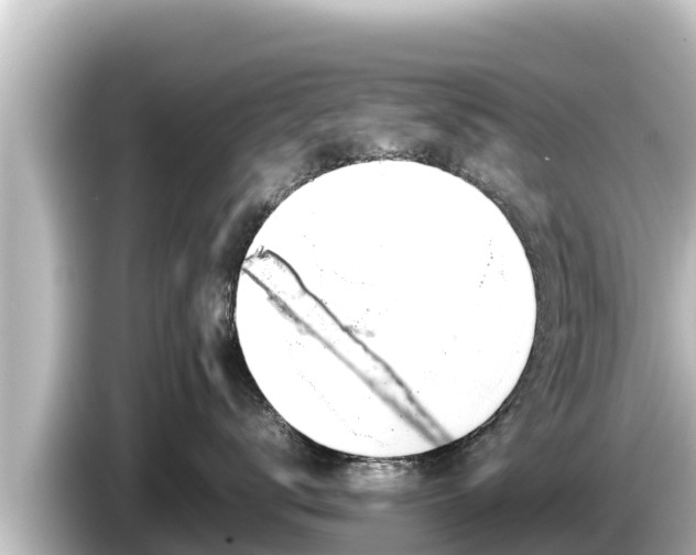 X0000085310672200703161453