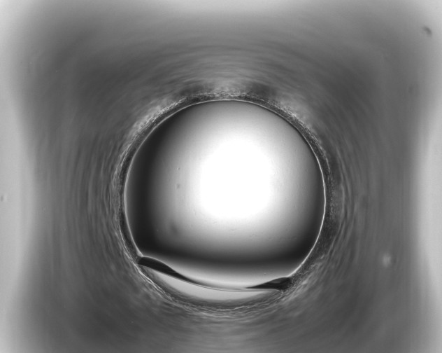 X0000085310673200703161452