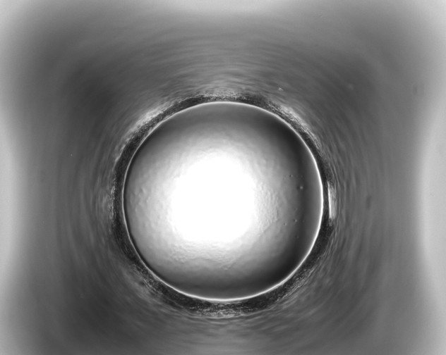 X0000085310675200703161452