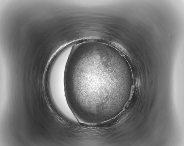 X0000085310676200703161452