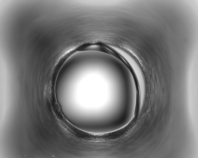X0000085310677200703161452