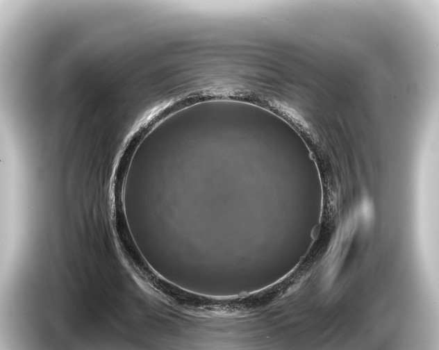 X0000085310678200703161452