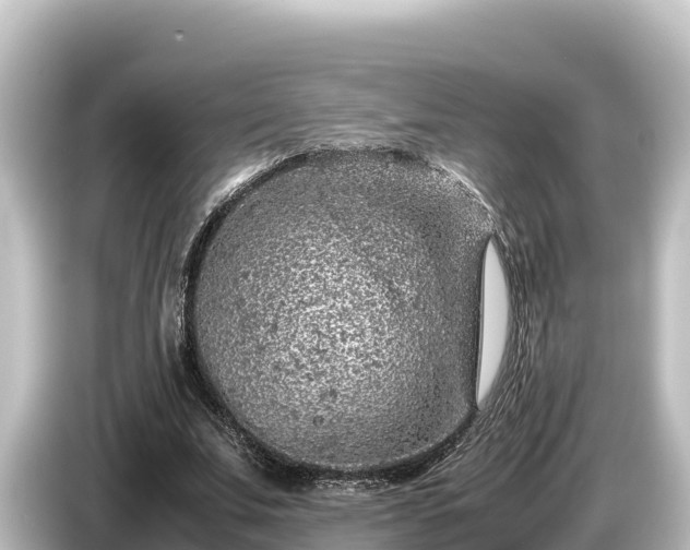 X0000085310679200703161452