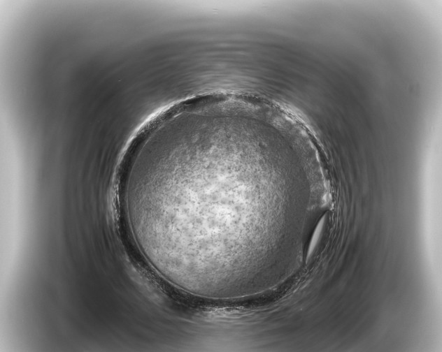 X0000085310680200703161452