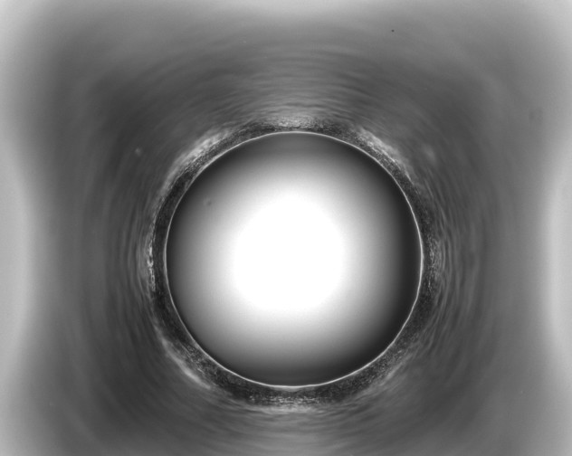 X0000085310682200703161452