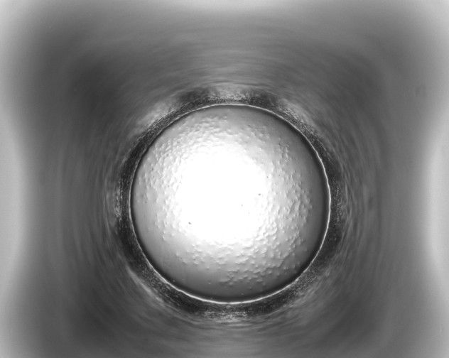 X0000085310683200703161452