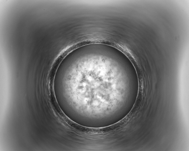 X0000085310684200703161452