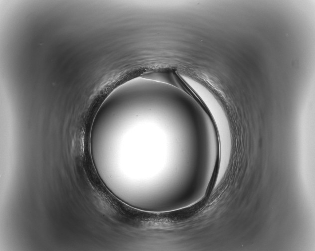 X0000085310685200703161452