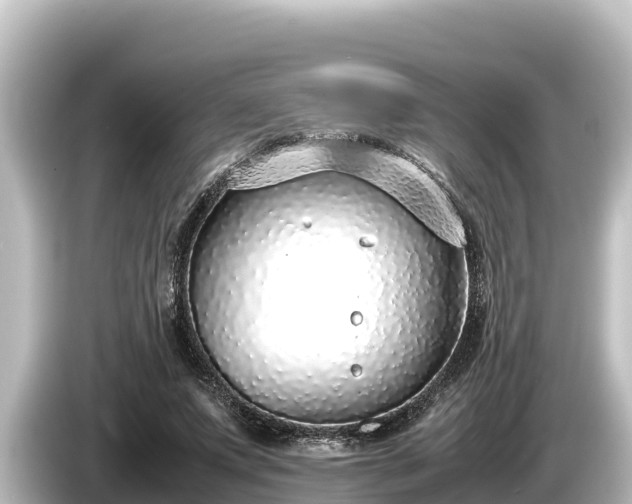 X0000085310687200703161452